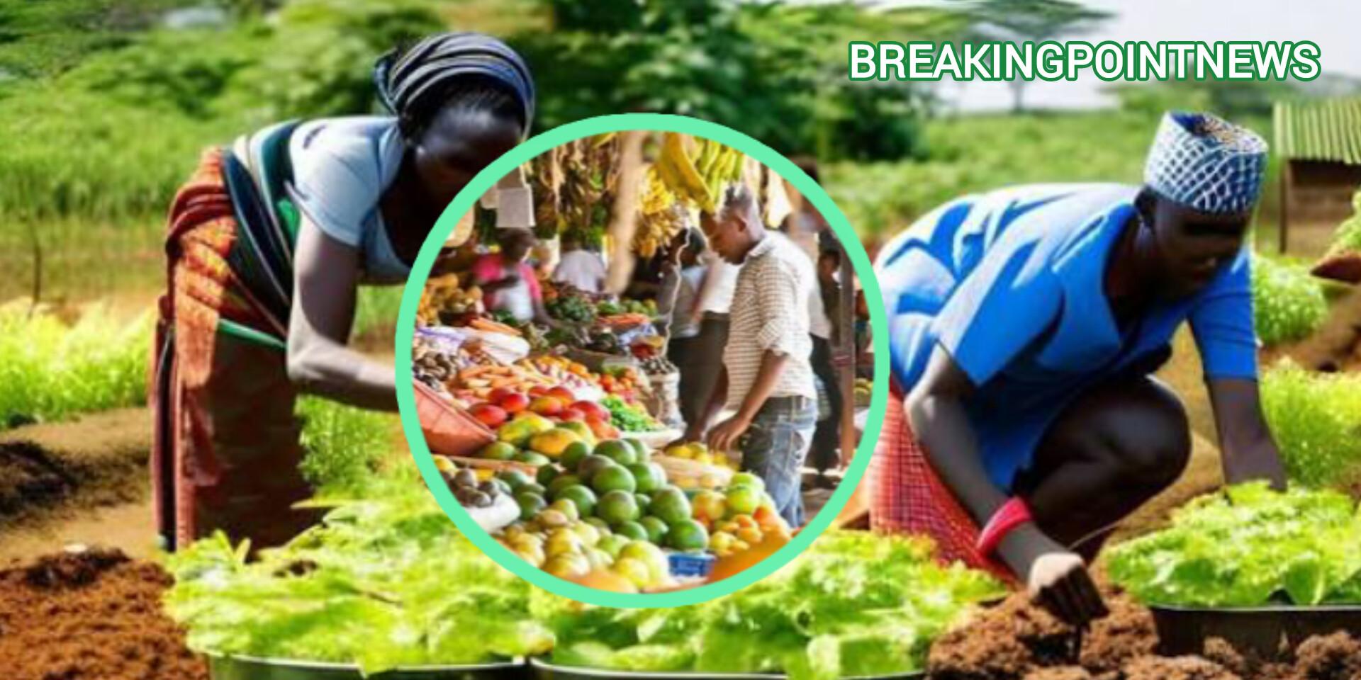 Food Prices Rise in Kenya as Climate Change Puts Pressure on Supply